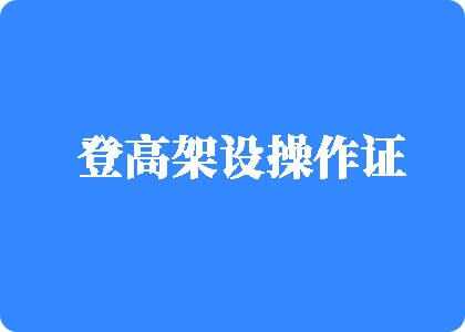 扒开两腿日BB视频登高架设操作证